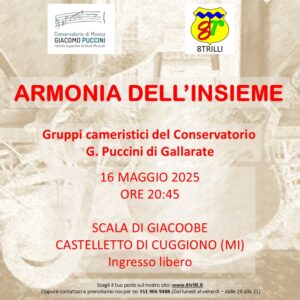 Scopri di più sull'articolo Armonia dell’Insieme
